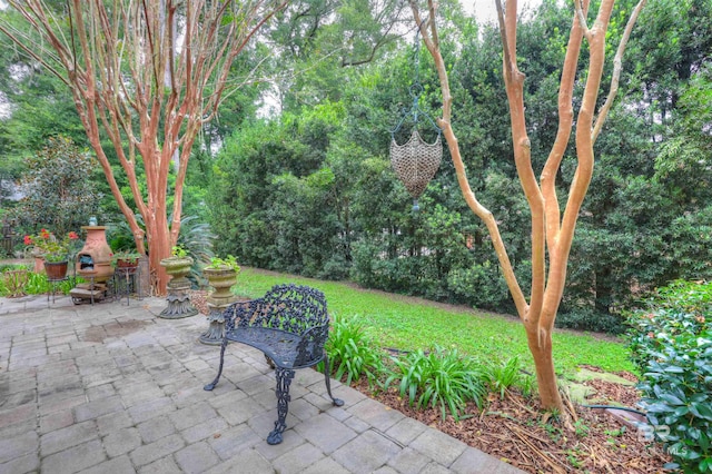 view of yard with a patio area and a fireplace