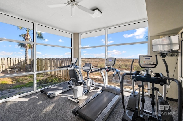 workout area with a wall of windows, carpet flooring, and ceiling fan