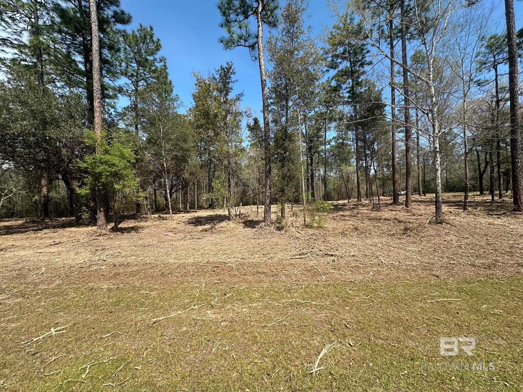 0 Steelwood Ridge Rd, Loxley, AL 36551