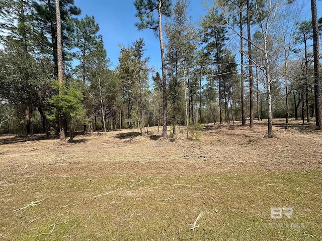 0 Steelwood Ridge Rd, Loxley, AL 36551