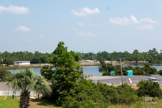 property view of water