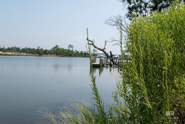 water view featuring a dock