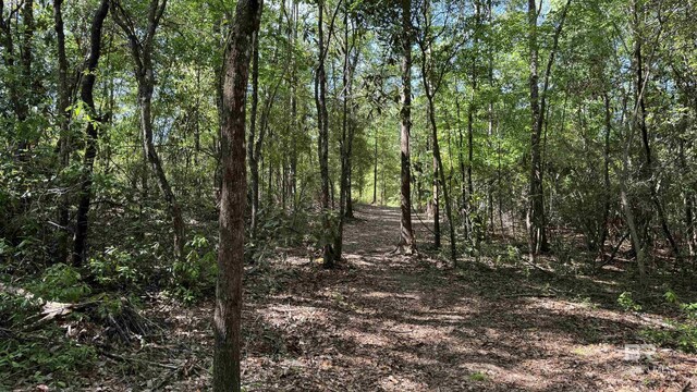 1950 Wilma Rd, Mcdavid, FL 32568