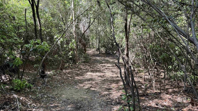 1950 Wilma Rd, Mcdavid, FL 32568