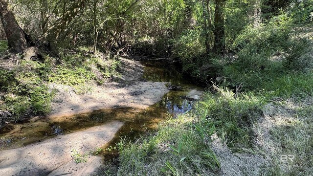 1950 Wilma Rd, Mcdavid, FL 32568