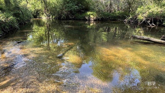 1950 Wilma Rd, Mcdavid, FL 32568