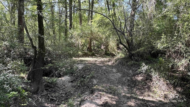 1950 Wilma Rd, Mcdavid, FL 32568