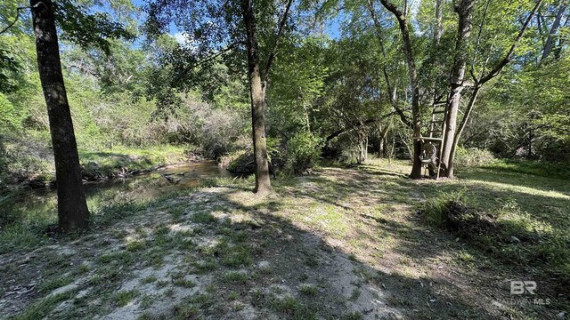 1950 Wilma Rd, Mcdavid, FL 32568