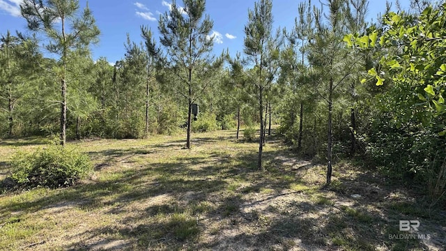 1950 Wilma Rd, Mcdavid, FL 32568