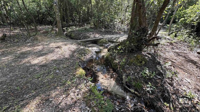 1950 Wilma Rd, Mcdavid, FL 32568