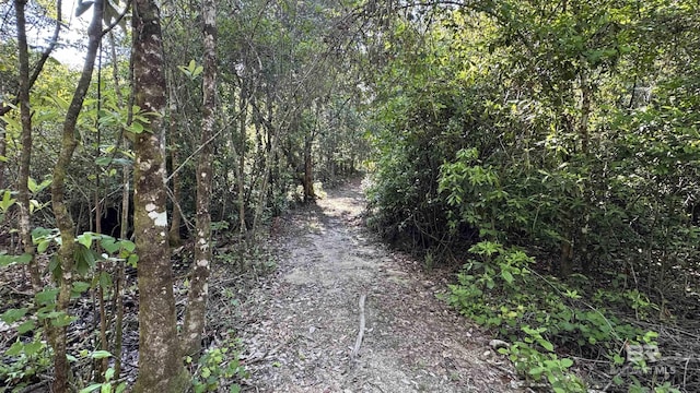 1950 Wilma Rd, Mcdavid, FL 32568