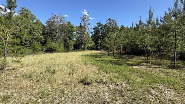 1950 Wilma Rd, Mcdavid, FL 32568