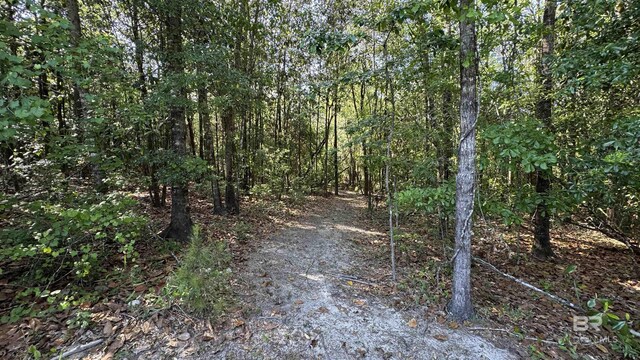 1950 Wilma Rd, Mcdavid, FL 32568