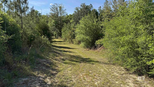 1950 Wilma Rd, Mcdavid, FL 32568