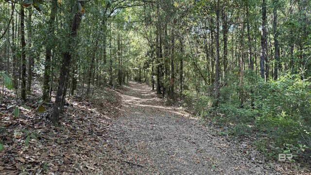 1950 Wilma Rd, Mcdavid, FL 32568