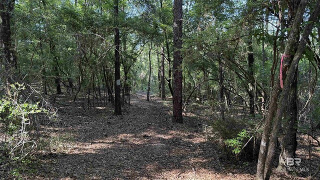 1950 Wilma Rd, Mcdavid, FL 32568
