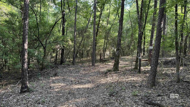 1950 Wilma Rd, Mcdavid, FL 32568