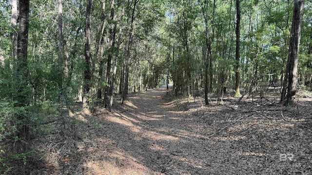 1950 Wilma Rd, Mcdavid, FL 32568