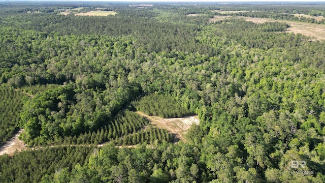 1950 Wilma Rd, Mcdavid, FL 32568