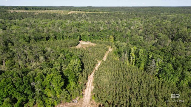 1950 Wilma Rd, Mcdavid, FL 32568