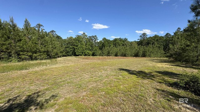 1950 Wilma Rd, Mcdavid, FL 32568