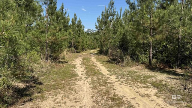 1950 Wilma Rd, Mcdavid, FL 32568