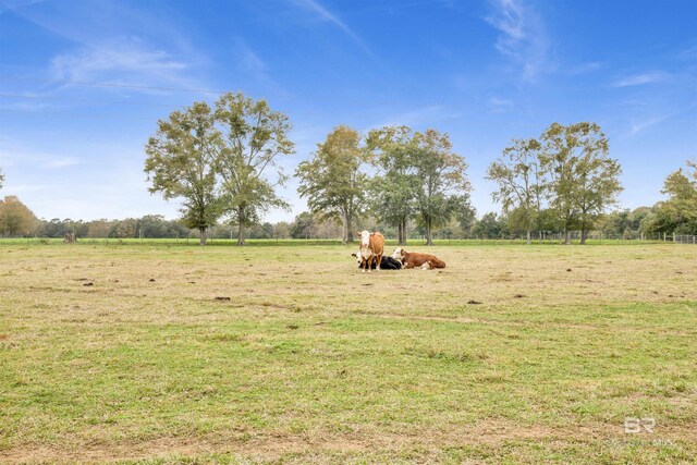 view of yard featuring a rural view
