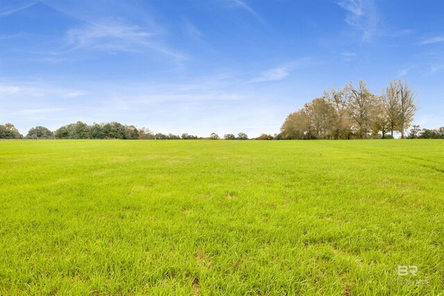 view of nature featuring a rural view