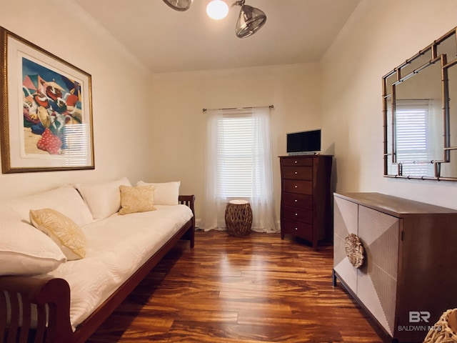 bedroom featuring dark wood-style flooring and multiple windows