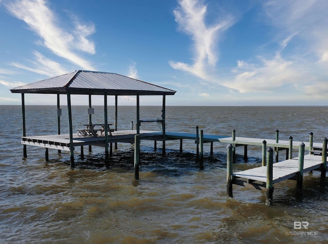 dock area with a water view