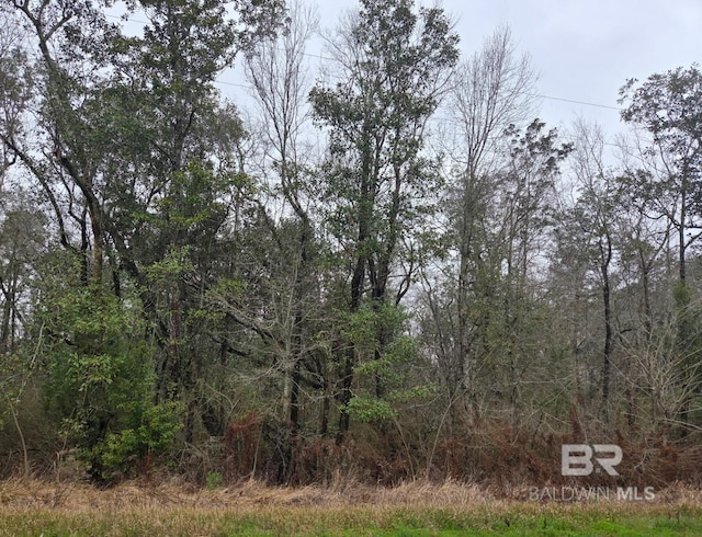 0 Fred Dugger Rd, Summerdale AL, 36580 land for sale