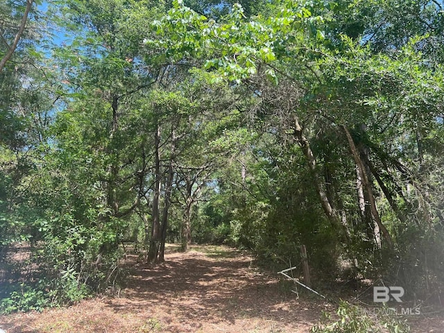 17967 River Rd, Summerdale, AL 36580