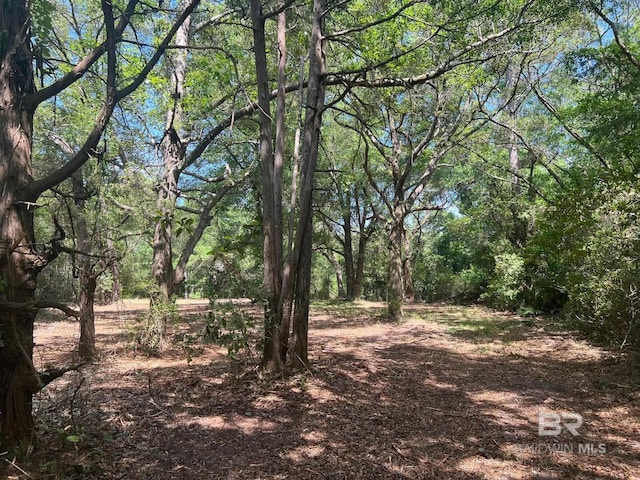 17967 River Rd, Summerdale, AL 36580