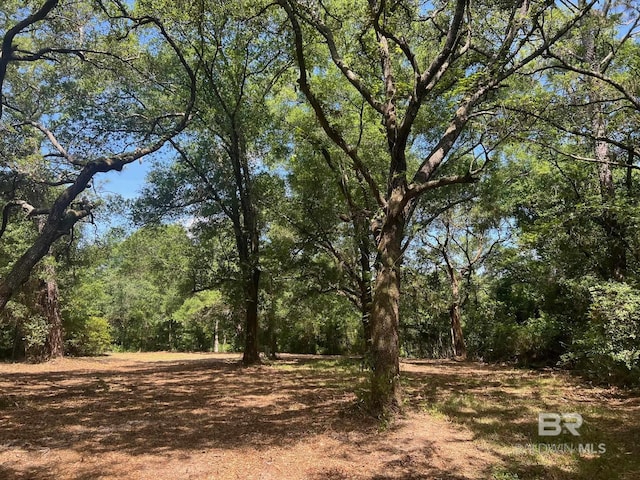 17967 River Rd, Summerdale, AL 36580