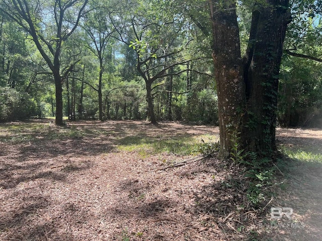 17967 River Rd, Summerdale, AL 36580