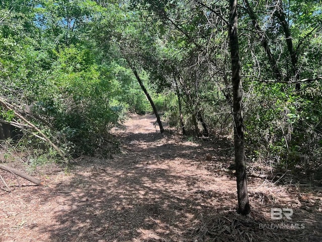 17967 River Rd, Summerdale, AL 36580