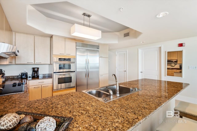 kitchen with a tray ceiling, range hood, sink, decorative light fixtures, and appliances with stainless steel finishes