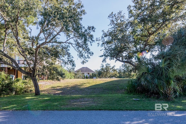 30300 Ono Blvd, Orange Beach AL, 36561 land for sale