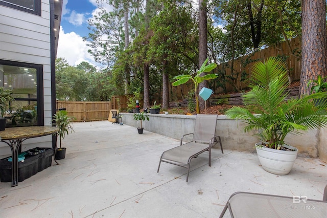 view of patio with a fenced backyard