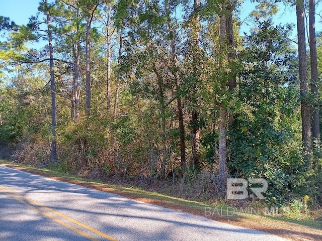 Listing photo 3 for 0000 Riverwood Dr, Foley AL 36535