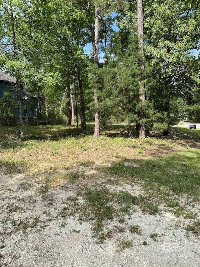 35 Shinnecock Ln, Loxley, AL 36551