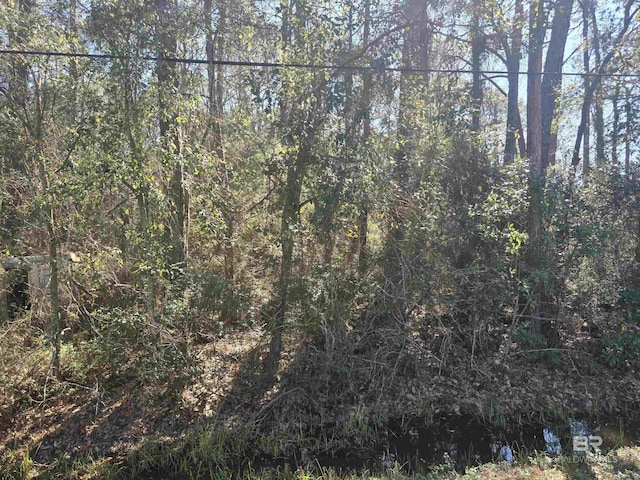 6814 US Highway 98, Fairhope AL, 36532 land for sale