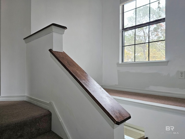 stairway with a wealth of natural light