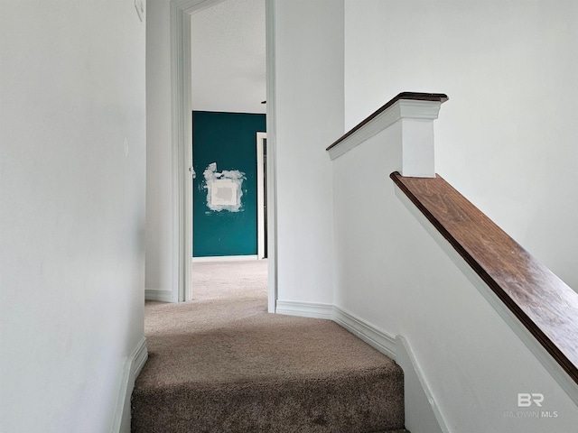 staircase featuring carpet floors