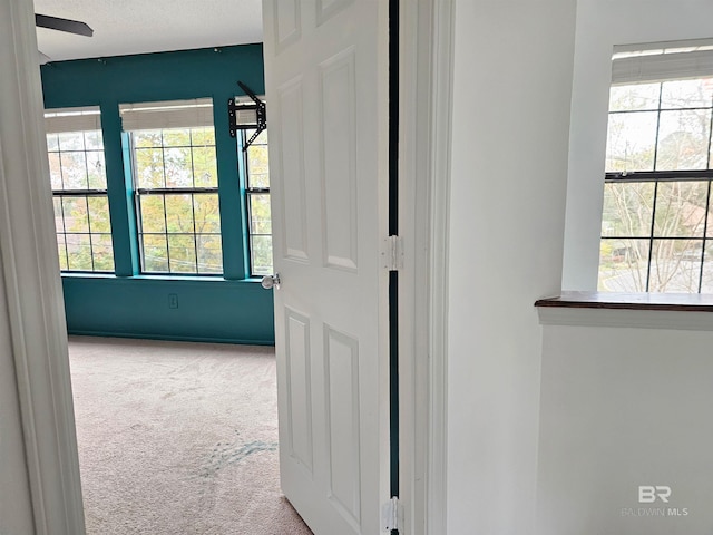 corridor featuring carpet floors