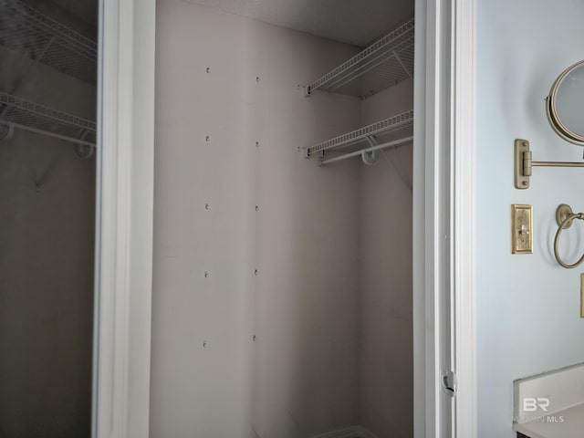 view of closet