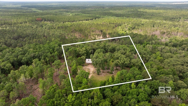 aerial overview of property's location featuring a forest and property parcel outlined