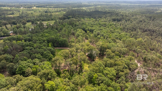 view of property location featuring a forest
