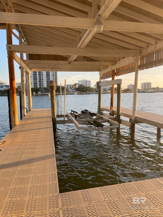 dock area featuring a water view