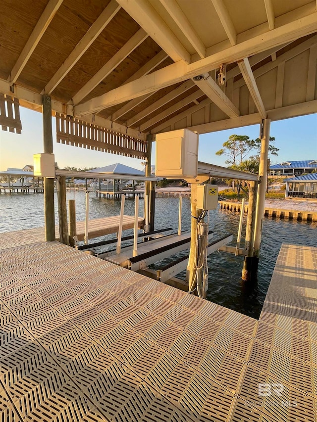 dock area with a water view